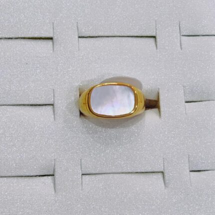 Anel de aço inoxidável