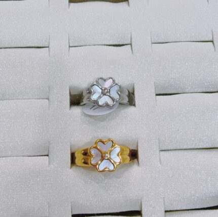 Anel de aço inoxidável